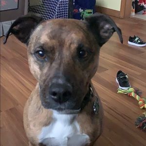 Meet your Posher, Danielle